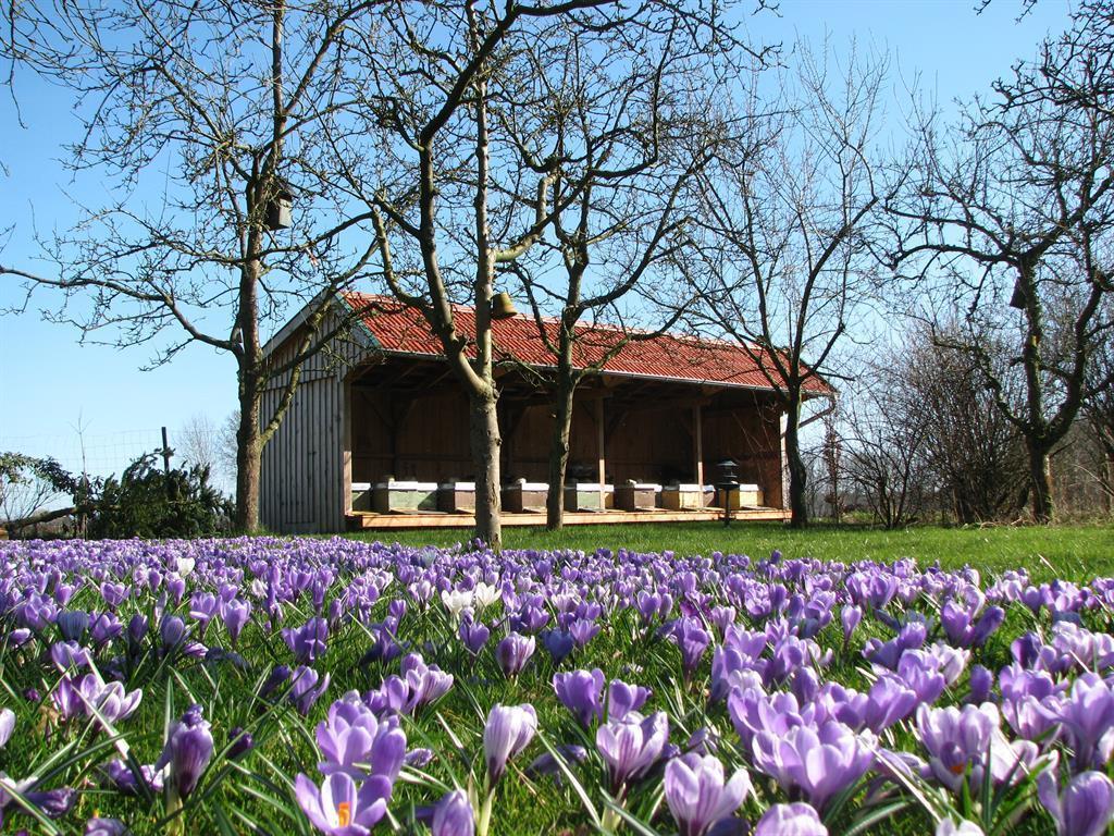 Apartmán Urlaubsdomizil Im Gruenen Westerstede Exteriér fotografie